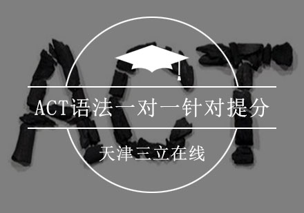 ACT语法一对一针对提分