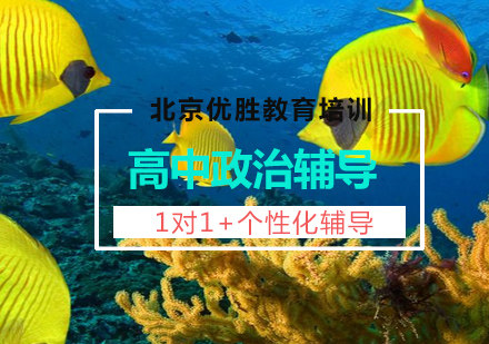 高中政治1对1定制课程