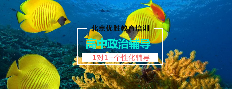 政治学科定制辅导
