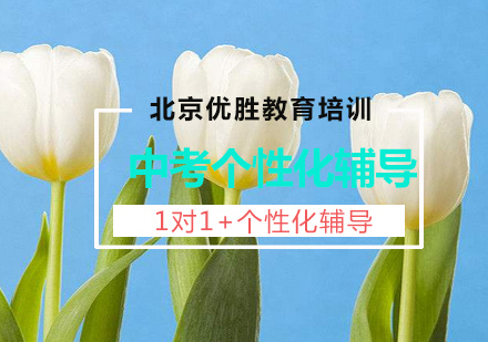 中考1对1个性化辅导课程