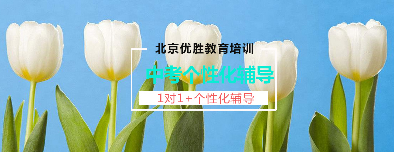 个性化教学场景