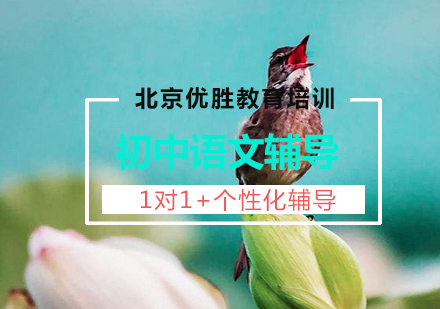 初中语文1对1定制课程