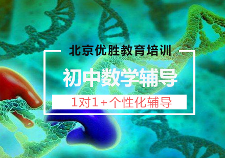 初中数学1对1定制课程