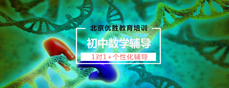 初中数学个性化辅导课程