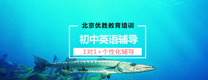 英语定制课程教学场景
