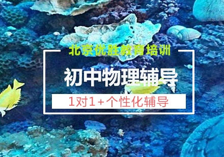 初中物理1对1定制课程