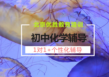 初中化学1对1个性化课程