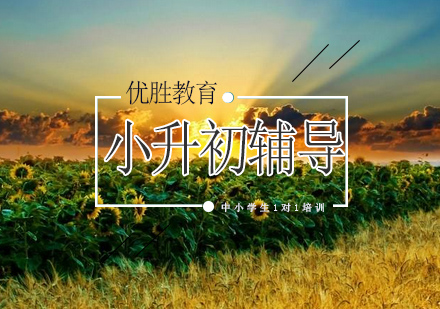 小升初英语培优课程深度解析