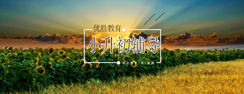 英语培优课程体系