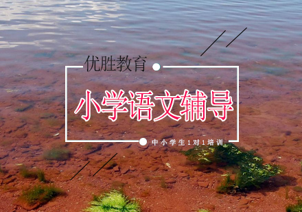 北京优胜教育小学六年级语文能力提升方案深度解析