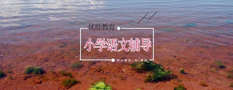 语文能力培养体系