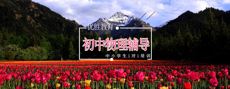 物理动态教学场景