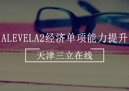 AlevelA2经济单项能力提升