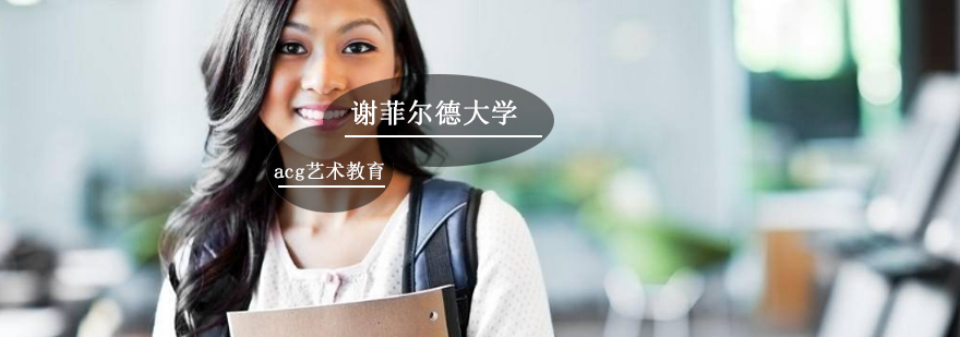谢菲尔德大学主校区