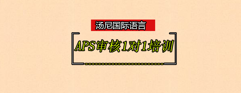 APS审核1对1培训班