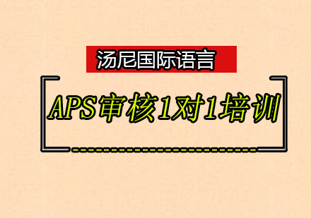 APS审核1对1培训班