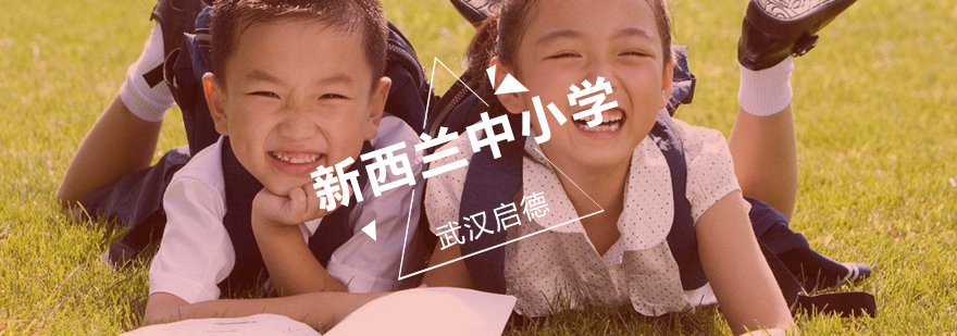 新西兰中小学课程体系