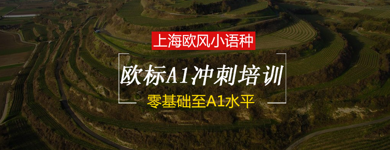 德语课堂实景