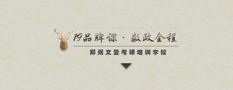 政数英全程课程体系