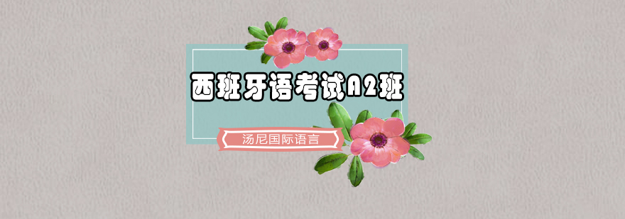 西班牙语课堂实景