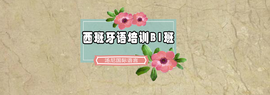 西班牙语课堂实景