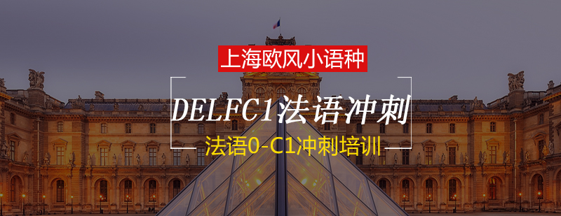 DELFC1法语考试认证课程