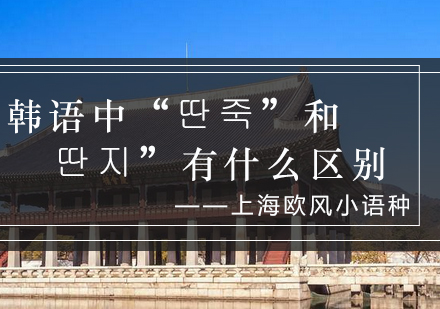 韩语近义词深度解析：딴죽与딴지语义差异详解