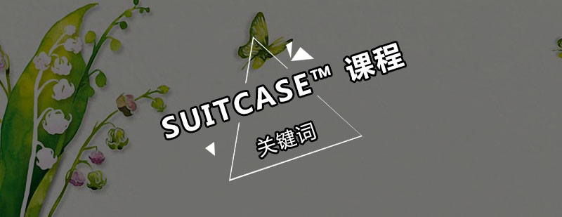 深圳1518岁SUITCASE培训班