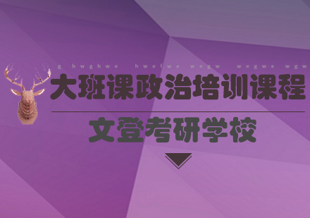 大班课政治全程培训班