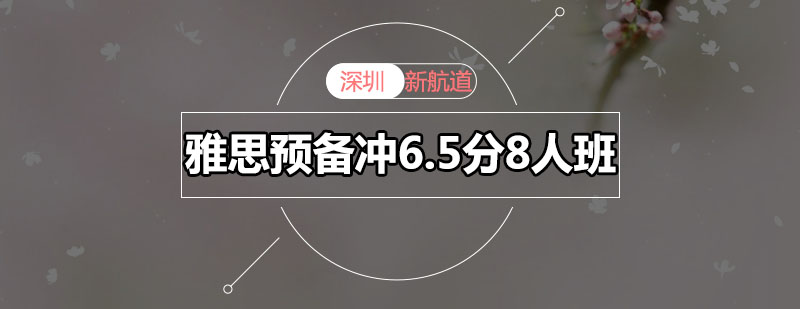 雅思小班教学场景
