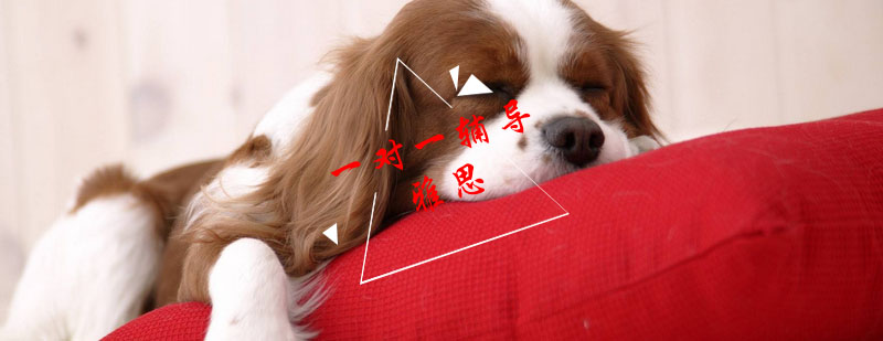 雅思定制课程体系