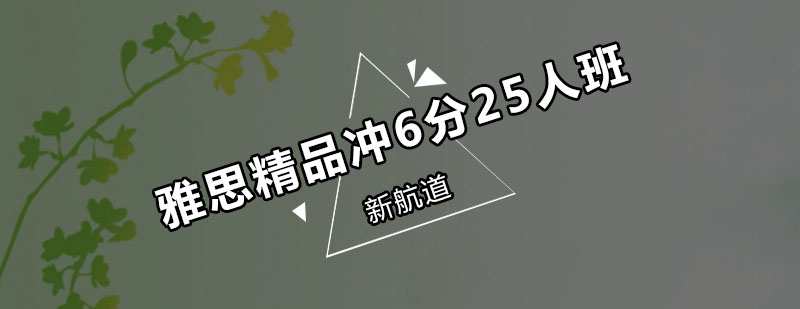 雅思小班教学场景