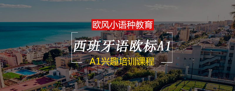 西班牙语课堂实景