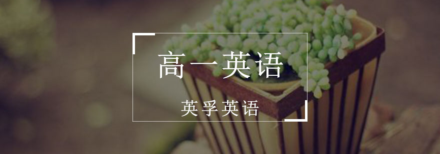 高一英语学习规划