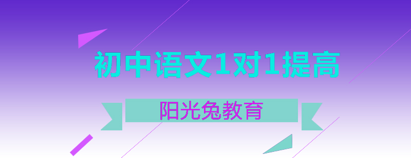 初中语文1对1同步提高课程