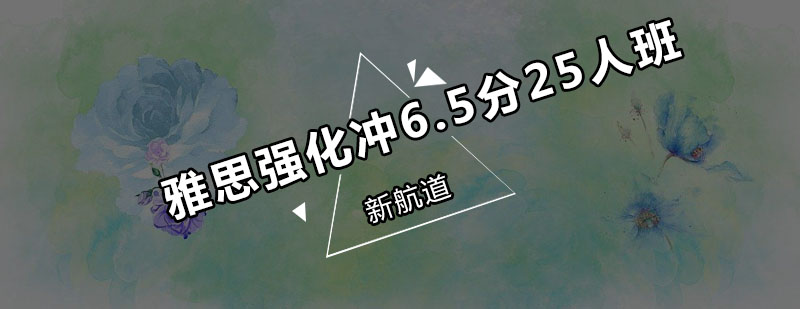 雅思冲刺班课堂实景