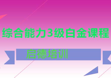 综合能力3级白金课程