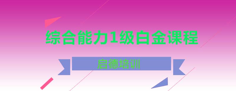 综合能力1级白金课程