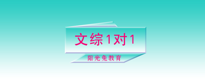 文综1对1