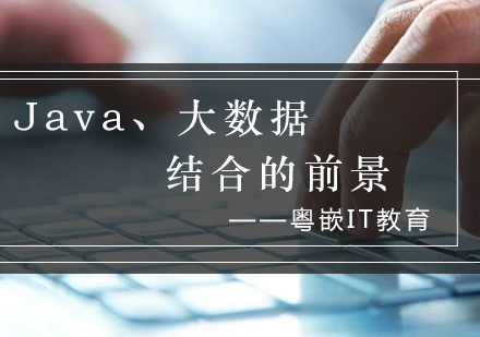 Java与大数据技术融合开发实战指南