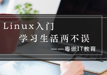 Linux系统学习进阶指南