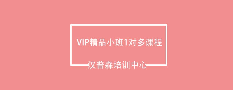 VIP精品小班1对多课程