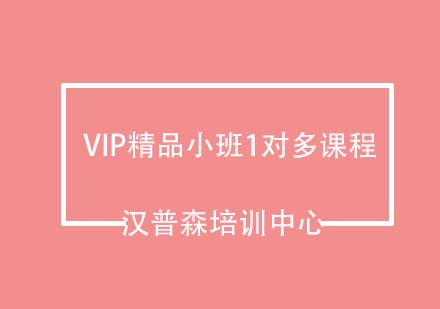 青岛汉普森VIP精品小班1对多课程