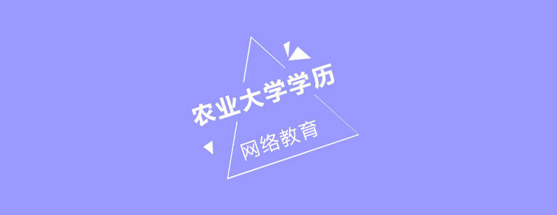 农大在线教育平台界面