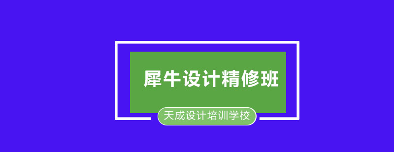 犀牛设计精修班