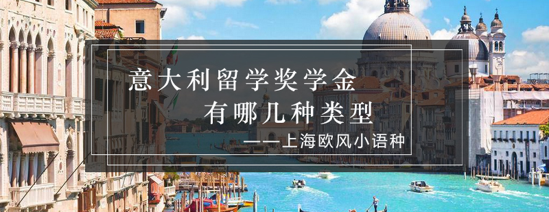 意大利奖学金类型图示