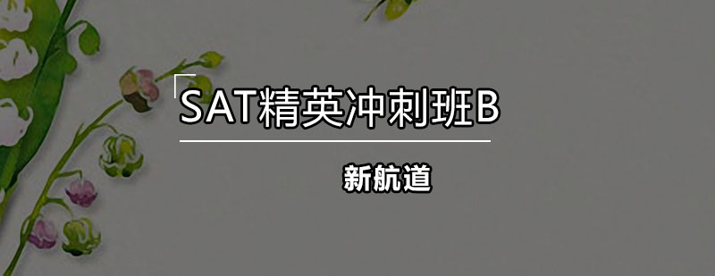 SAT冲刺班课堂实景