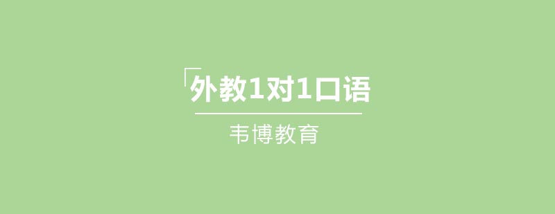 外教1对1口语教学