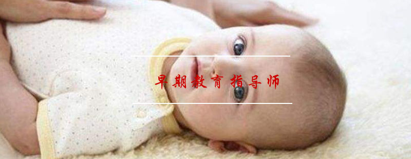 专业早教指导师培训
