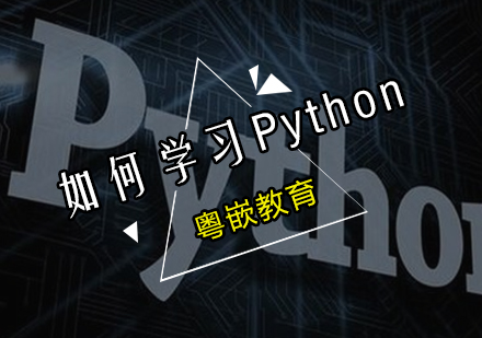 Java编程语言持续热门的关键优势解析